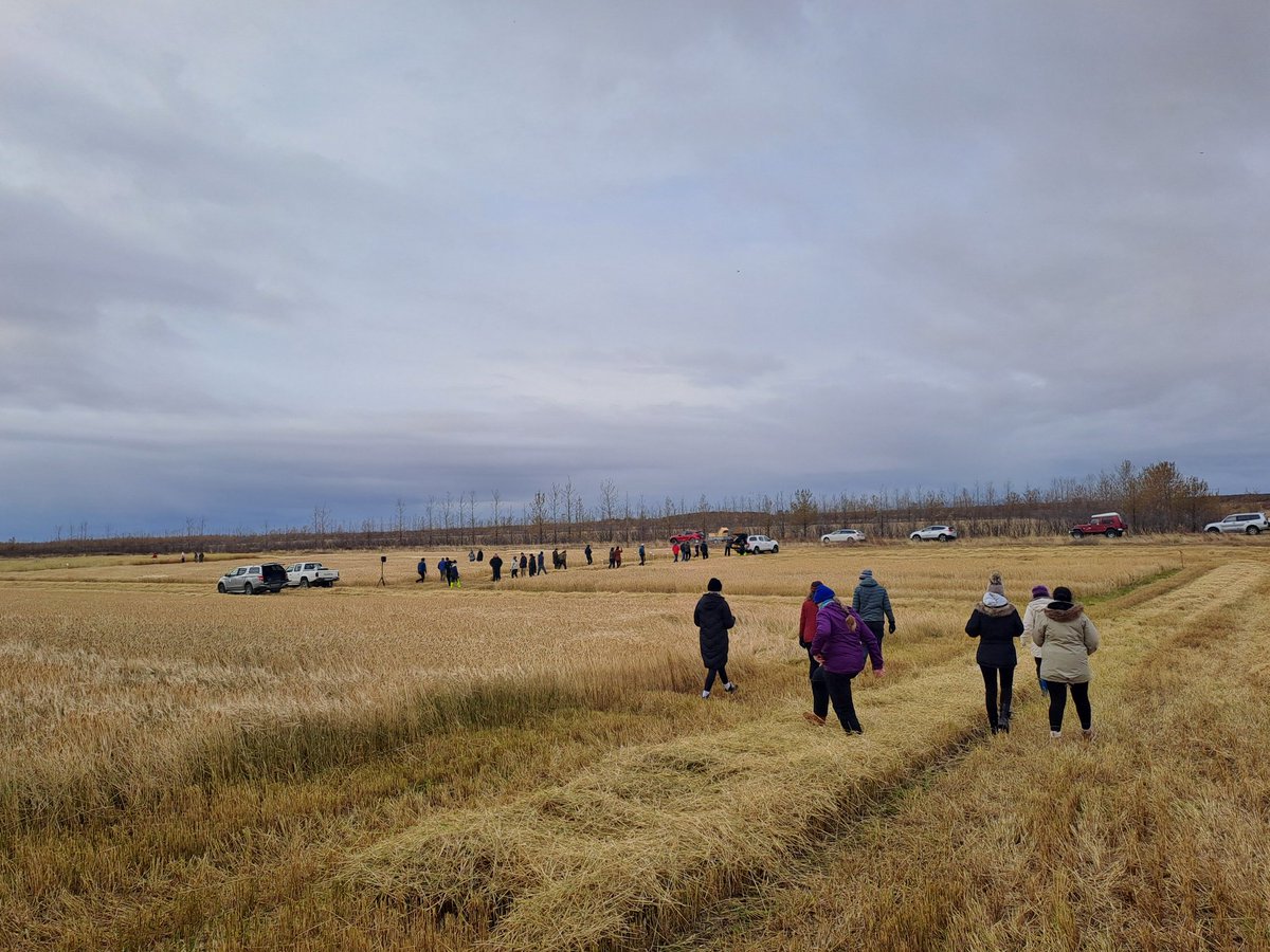 The last field day for this year with <a href="/OatFrontiers/">OatFrontiers</a> in Iceland.