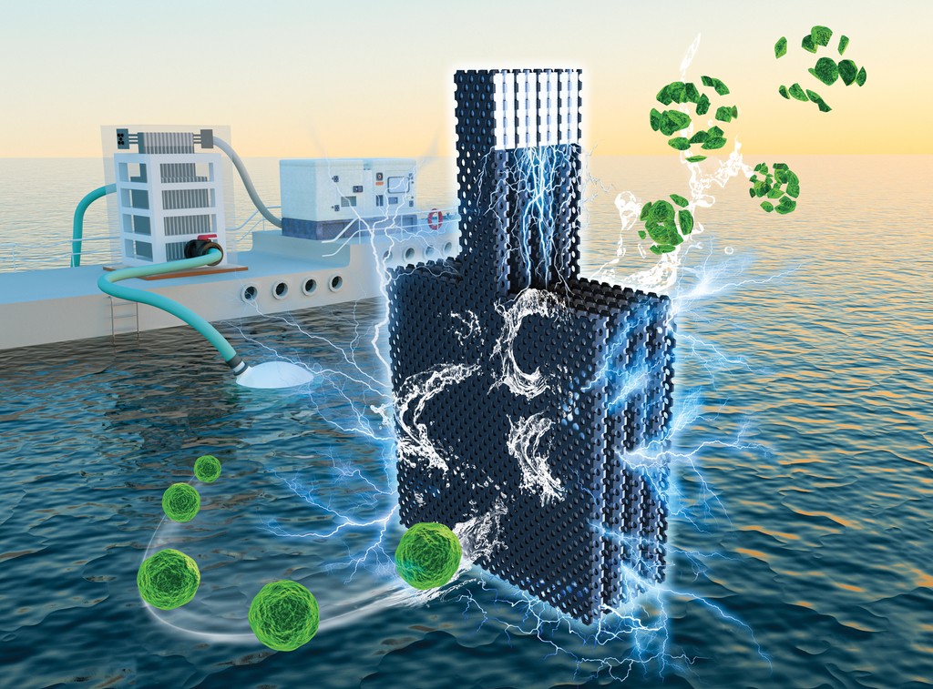The frequency and severity of Harmful Algal Blooms (HABs) has been on the rise in New York State.

A team of researchers at Clarkson is looking to combat these blooms, which can be harmful to both humans and animals.

Read more: clarkson.edu/news-events/cl…