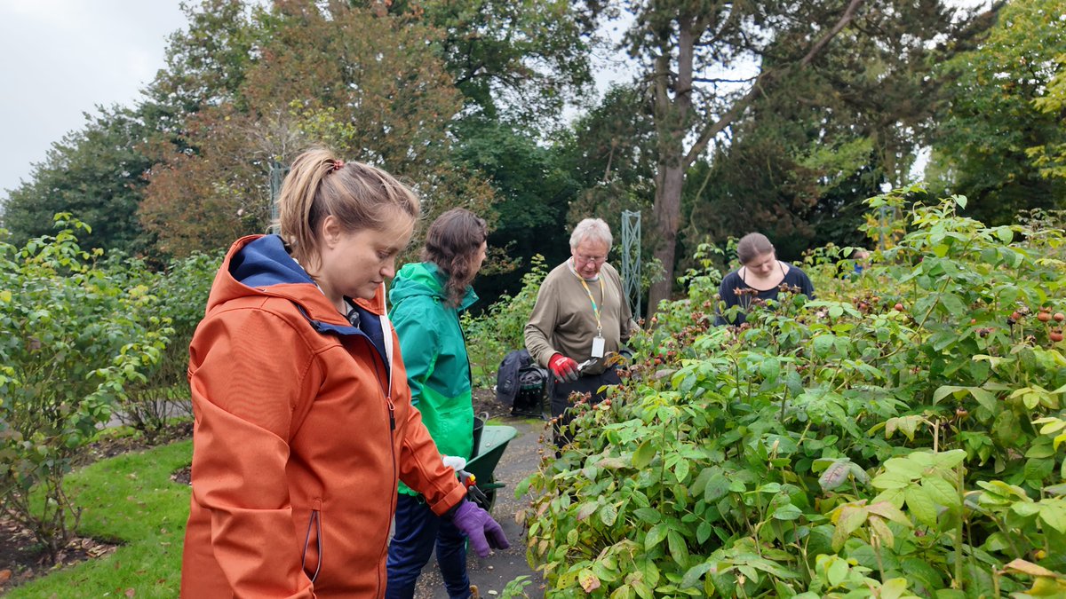 What a beautiful day at <a href="/FOBSheffield/">Friends of the Botanical Gardens, Sheffield</a>!

Our level 2 adult land-based students have been taking part in some horticulture work, pruning roses, receiving guidance from highly qualified teaching staff to upskill their green fingers!