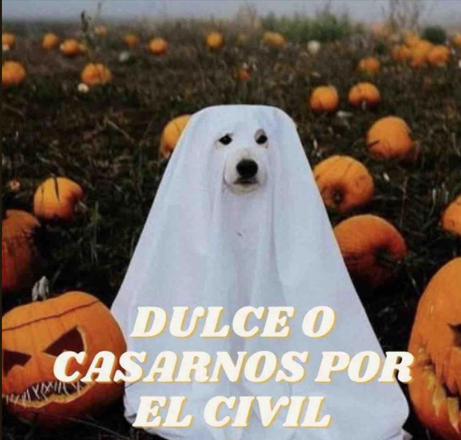 El Guarromántico tweet media