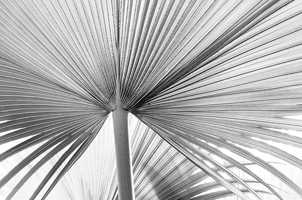 LauderdaleHouse's tweet image. #THIRTEEN are back from 9 October - 4 November! With an eclectic range of interests &amp;amp; experiences, each member of THIRTEEN draws on their unique perspective to inspire their work. See the work first and meet the photographers on the opening night Wednesday 9 October 7.30-9.30pm.