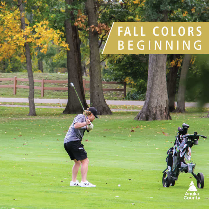The temperature is cooling down and the fall color changes are beginning. Let's play golf! ⛳🍂 #chomonixgc
