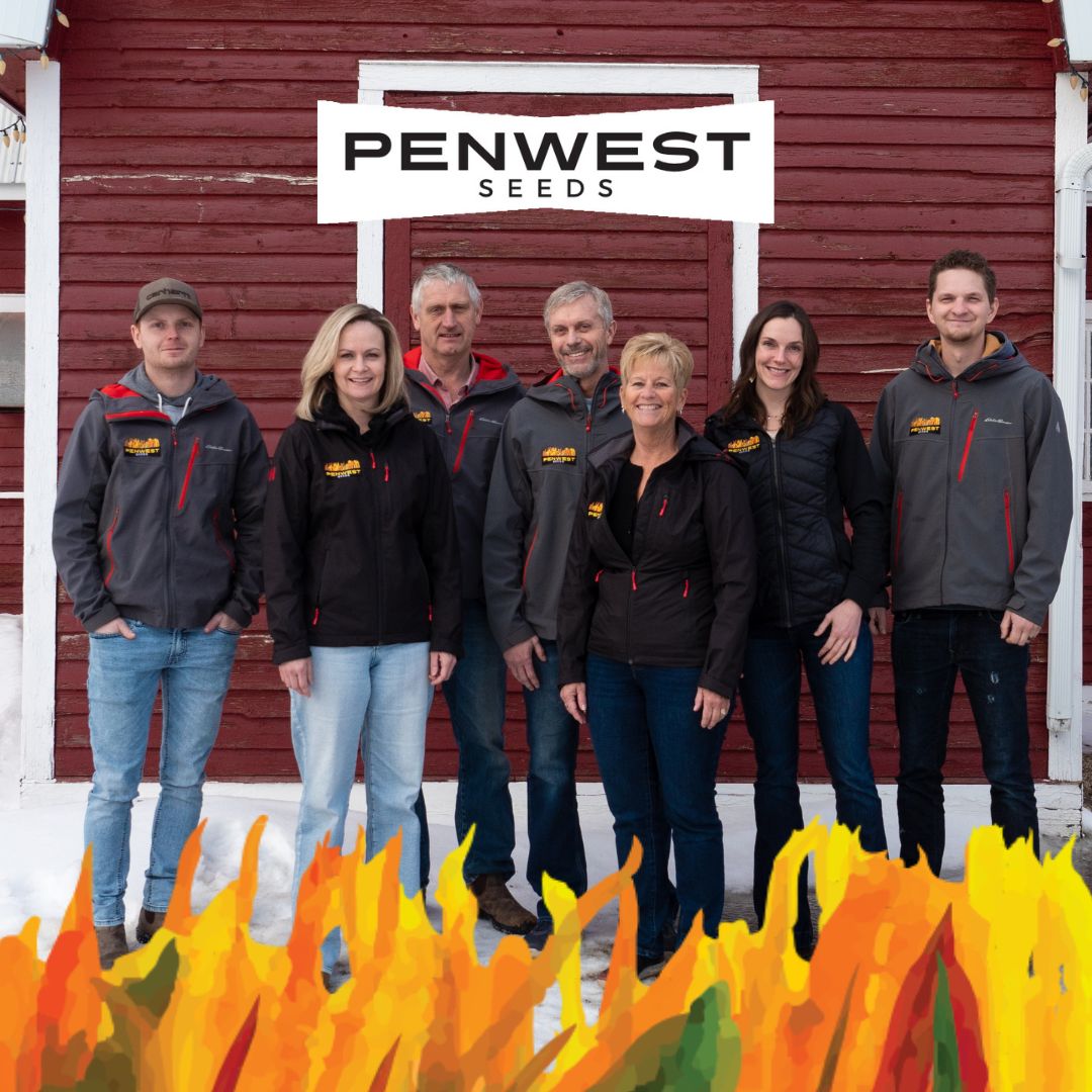 Experience that you can trust. Questions about what variety will best suit your needs? The team at Penwest Seeds is here to help! 

Call us to connect with one of our team members (403) 443- 2577

#albertaag #saskag #farming #agriculture #farm #penwestseeds