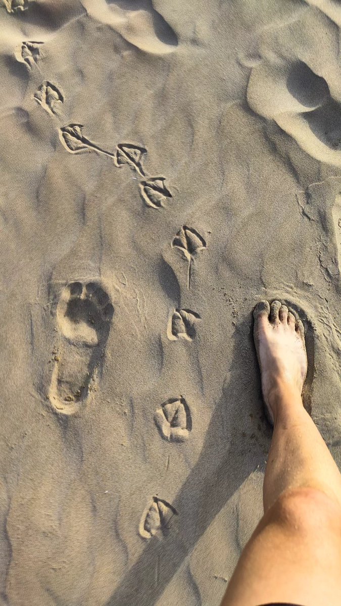 El tiempo es aquello que hace que no ocurran todas las cosas a la vez