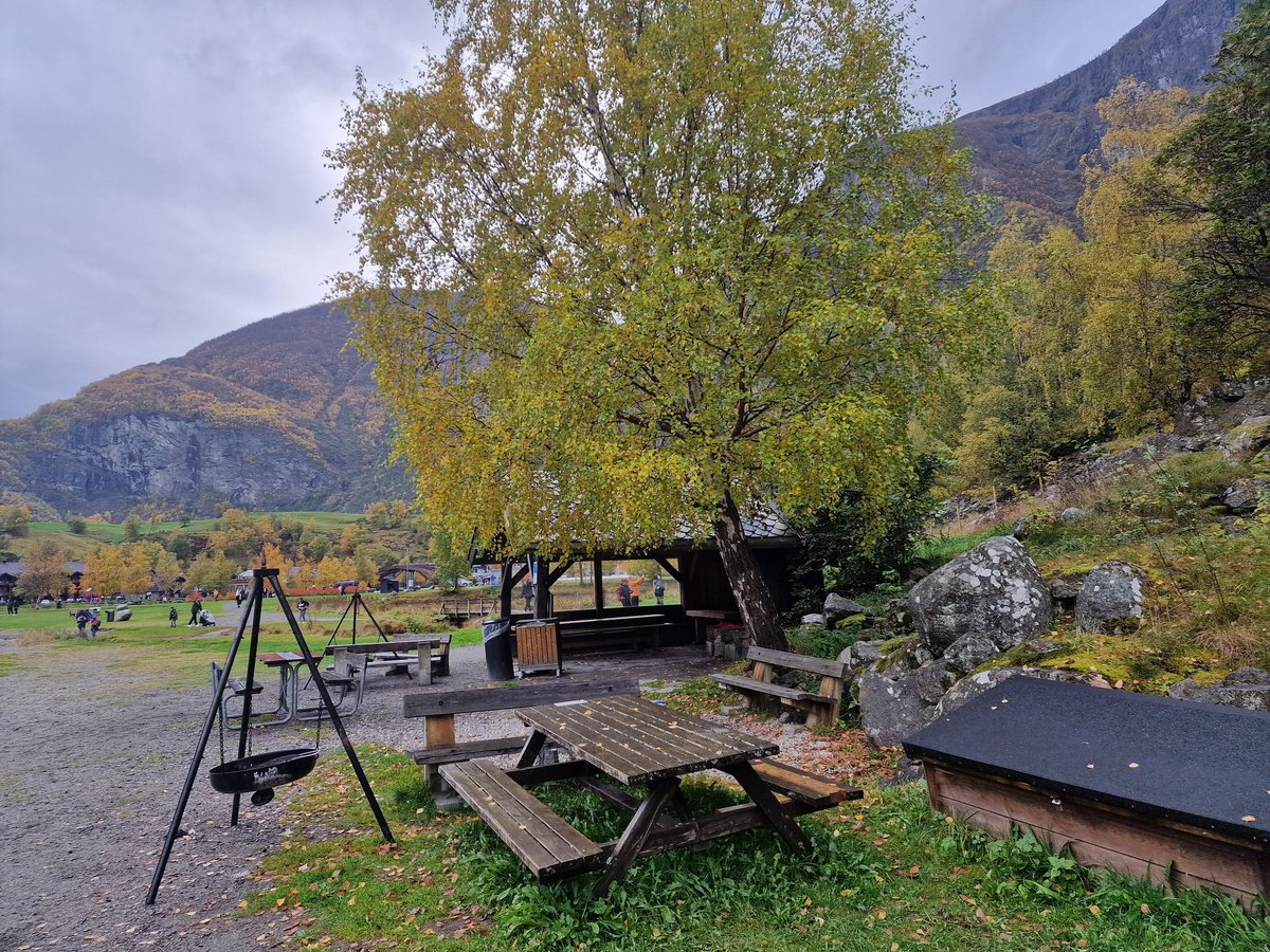 HHguidemelanie's tweet photo. Wie märchenhaft Norwegen im Herbst ist 😍
Heute durfte ich bei einem Ausflug ins schöne ehemalige Wikingerdorf Gudvangen und ins Dorf Undredal. Die haben dort mehr Ziegen als Einwohner 🤭
#lecturerontour https://t.co/MiQ6qZBhek