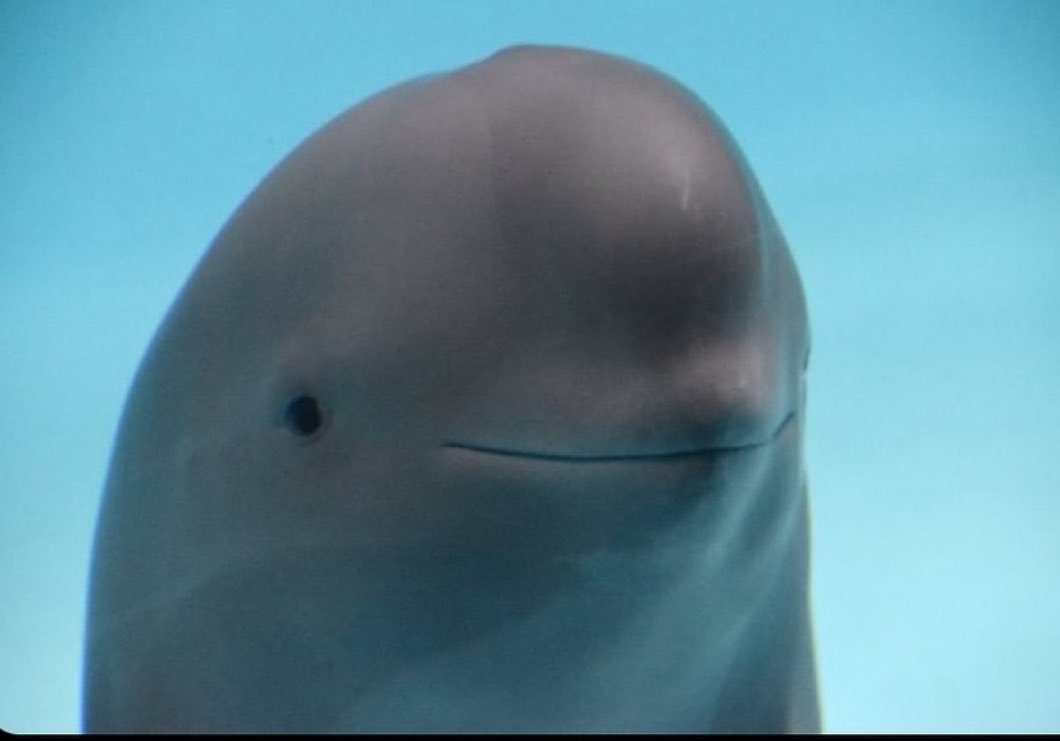 Midwesterners saying “all good, no worries” when things are not all good and there are so many worries