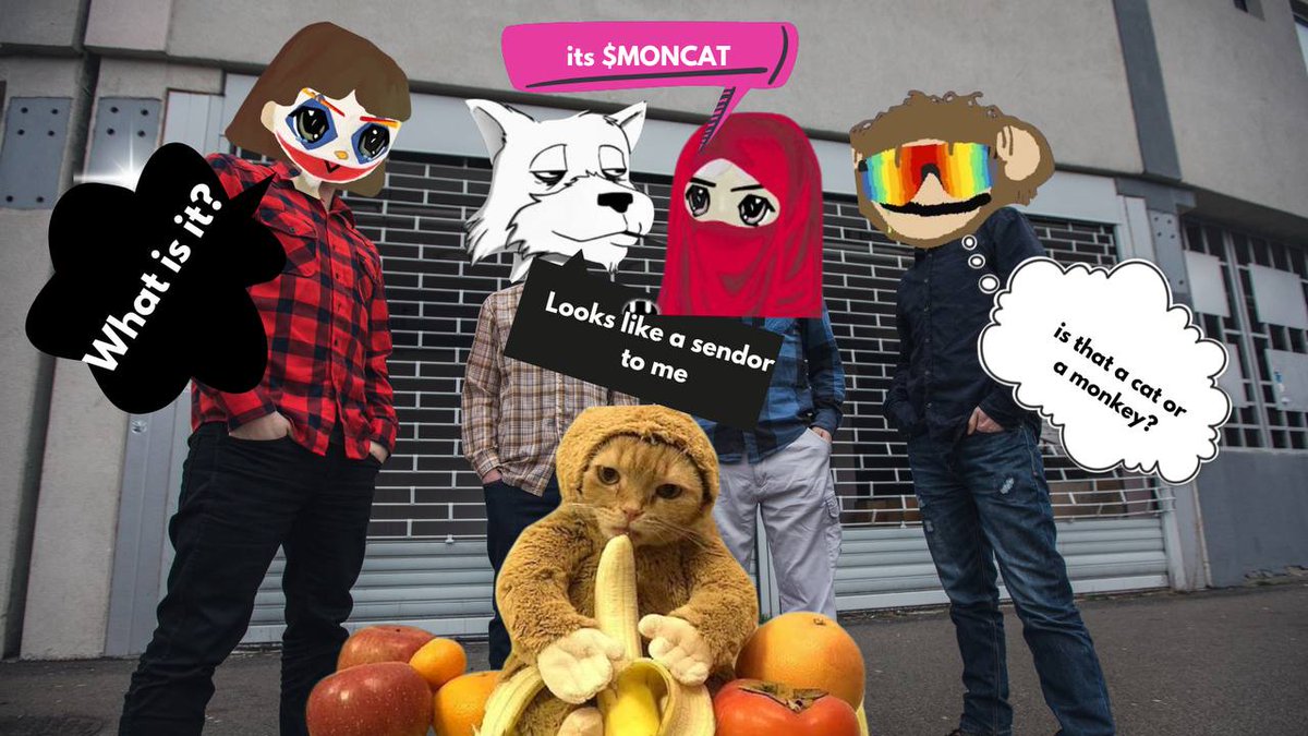 FOREVER OCCUPYING THE HEADSPACE OF CT

$MONCAT IS HALF MONKEY HALF CAT

100% A KING