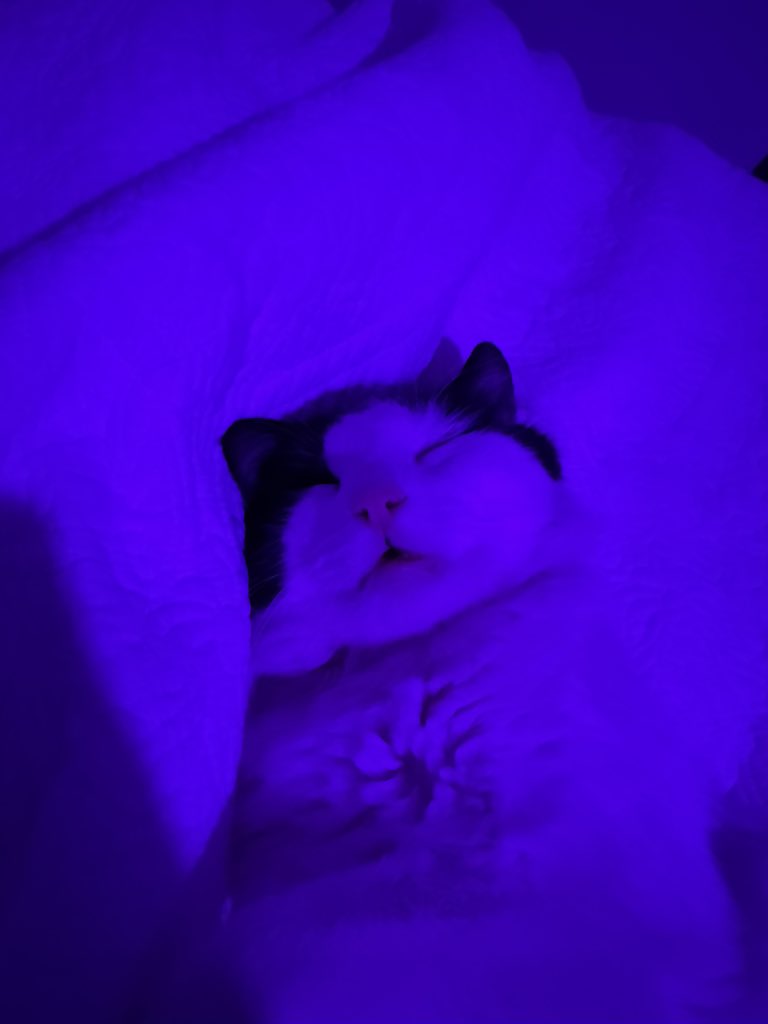 truckyy ✿ tweet media