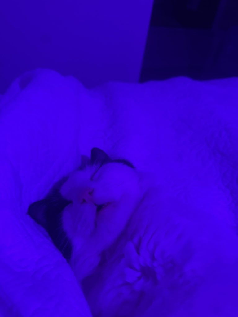 truckyy ✿ tweet media