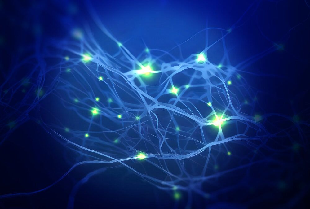 MarkTabNet's tweet image. Nobel Prize in Physics 2024: Hopfield and Hinton -- congratulations, and big AI news

Quoting:
&quot;I&apos;m flabbergasted. I had no idea this would happen. I&apos;m very surprised,&quot; said Hinton in a telephone call with members of the Royal Swedish Academy of Sciences

bit.ly/4er0PvP