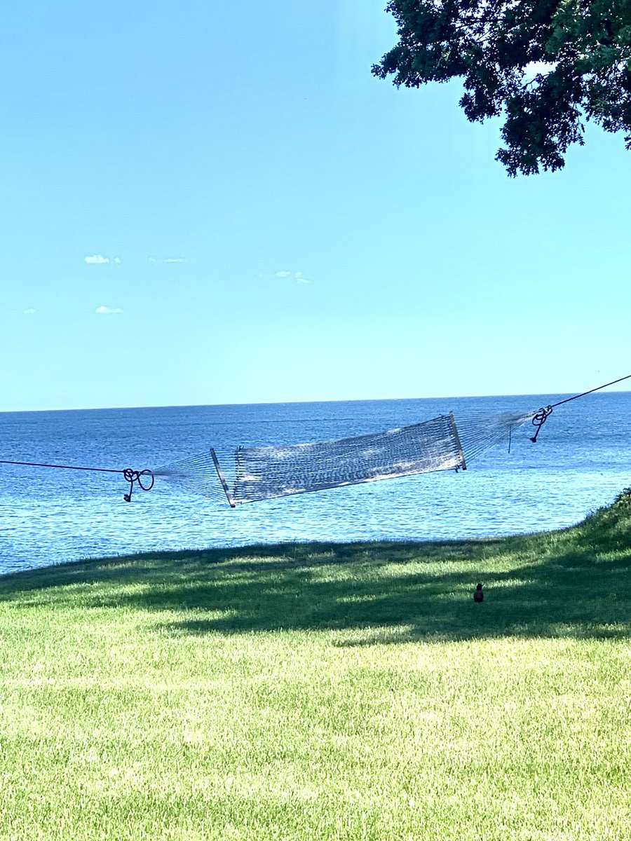 Ed (@mooneythepooney) on Twitter photo 