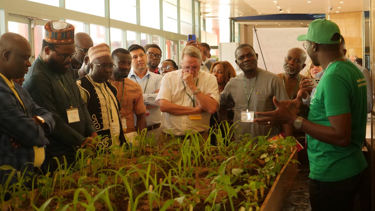 Cracking the Nut tweet media