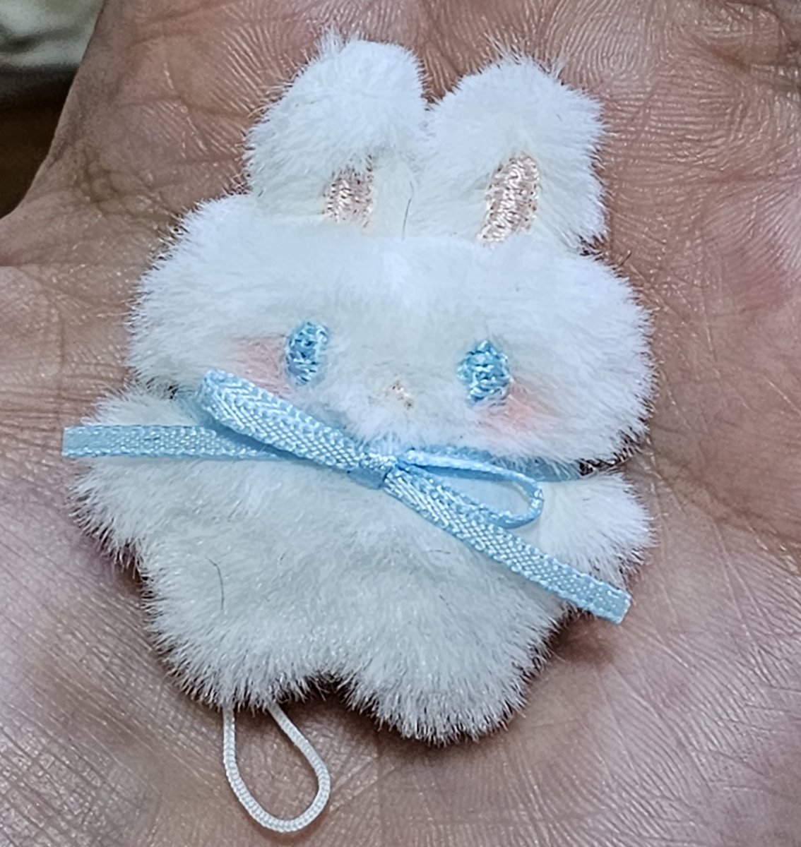 오로라 tweet media