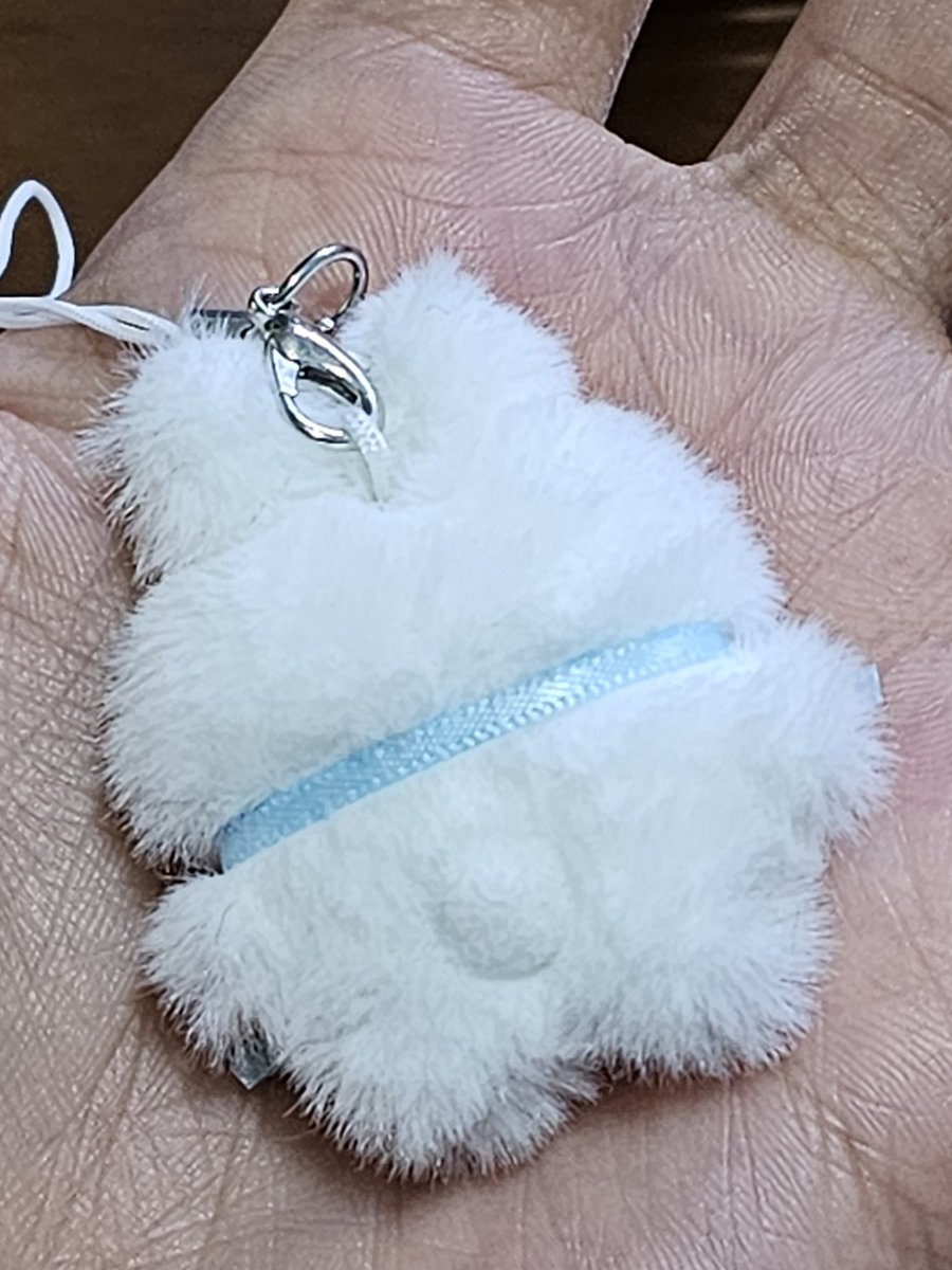 오로라 tweet media