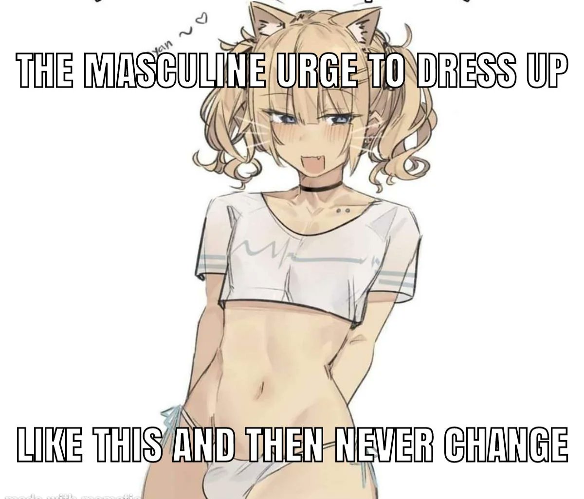 Femboy Gang tweet media