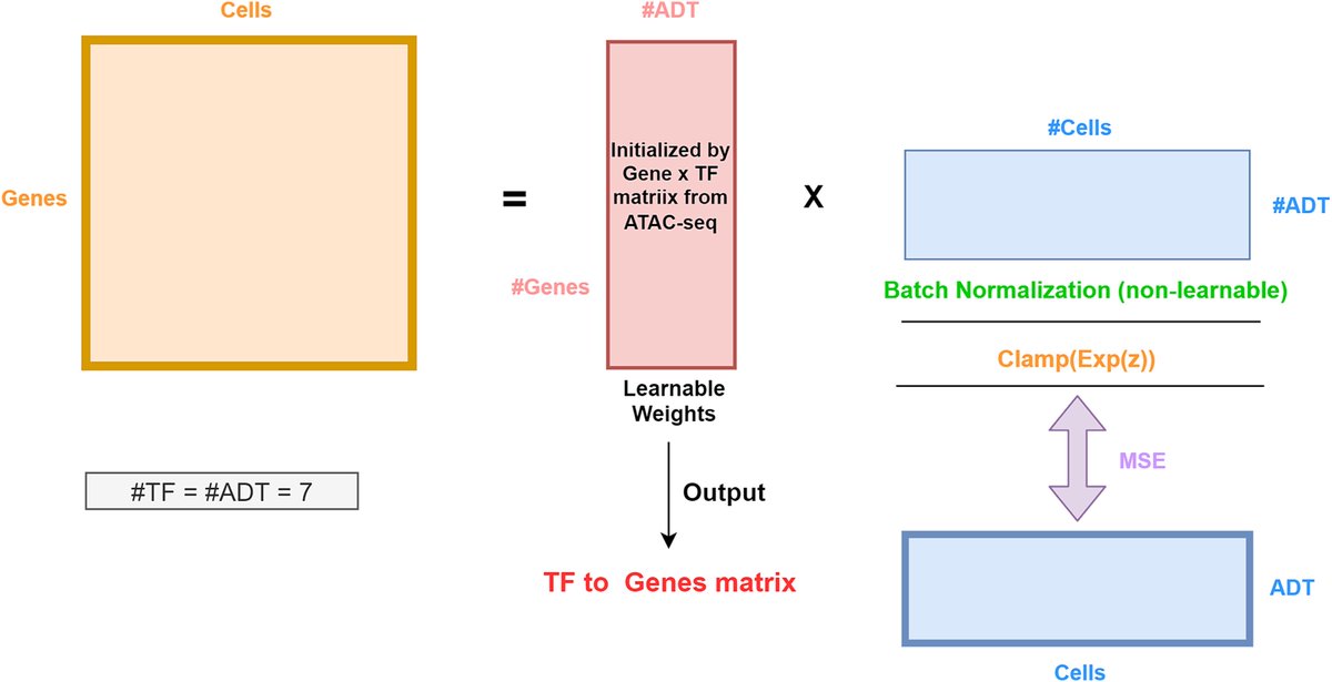 MultiSC: a deep learning pipeline for analyzing multiomics single-cell data academic.oup.com/bib/article/25…