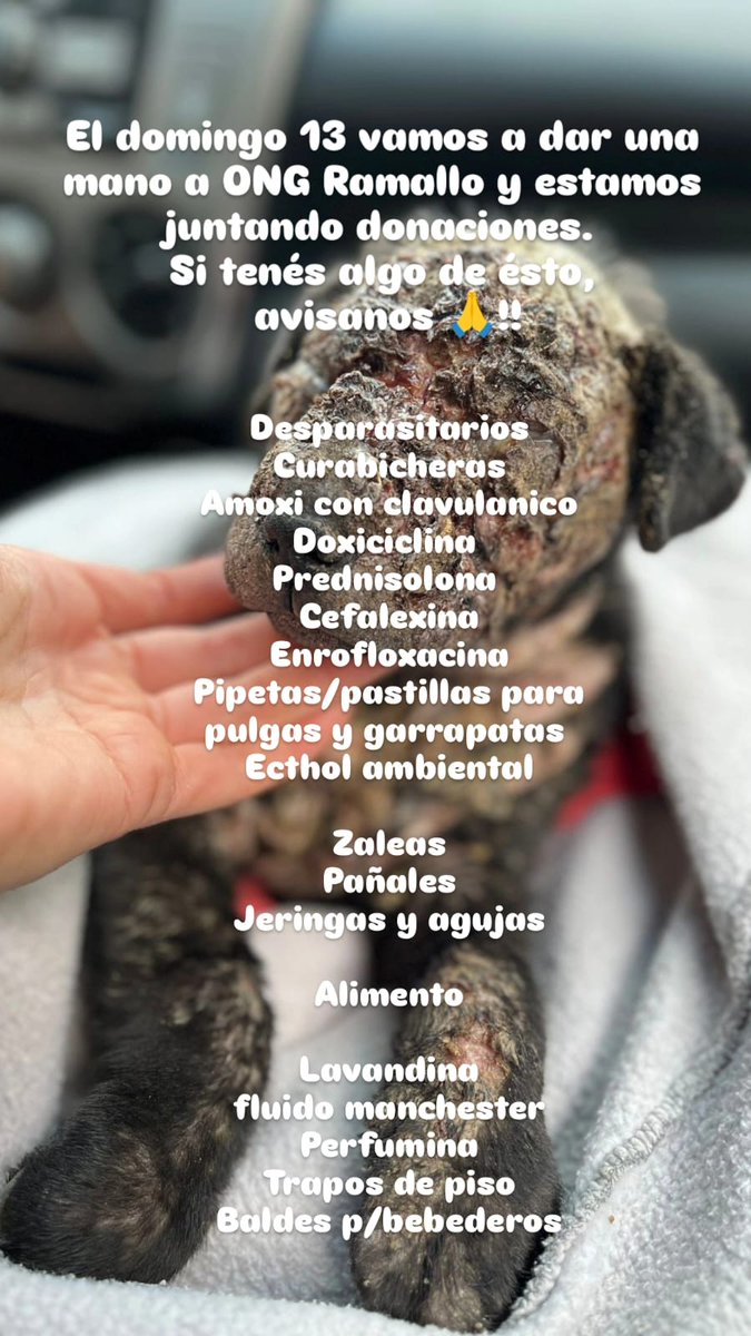 📣📣 Estamos juntando donaciones