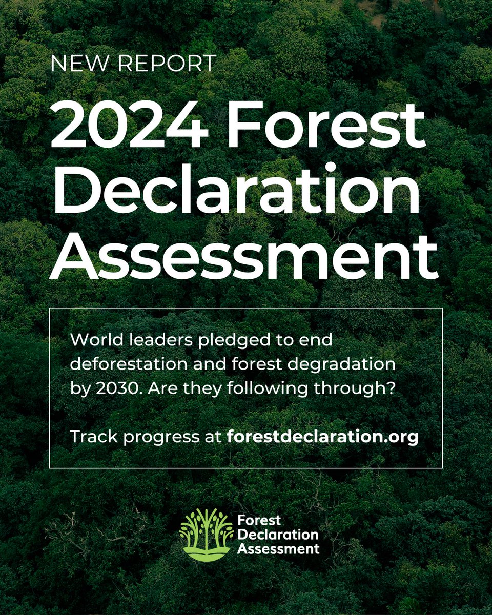 CIFOR-ICRAF (@cifor_icraf) on Twitter photo 🆕REPORT – 6.37 million hectares of deforestation occurred in 2023, putting the world starkly off track for achieving the goal of eliminating gross deforestation by 2030.
Read the 2024 Forest Declaration Assessment:👉 bit.ly/47ZleWo
<a href="/Forest_Assess/">Forest Declaration Assessment</a> | #Trees4Resilience 🆕REPORT – 6.37 million hectares of deforestation occurred in 2023, putting the world starkly off track for achieving the goal of eliminating gross deforestation by 2030.
Read the 2024 Forest Declaration Assessment:👉 bit.ly/47ZleWo
<a href="/Forest_Assess/">Forest Declaration Assessment</a> | #Trees4Resilience