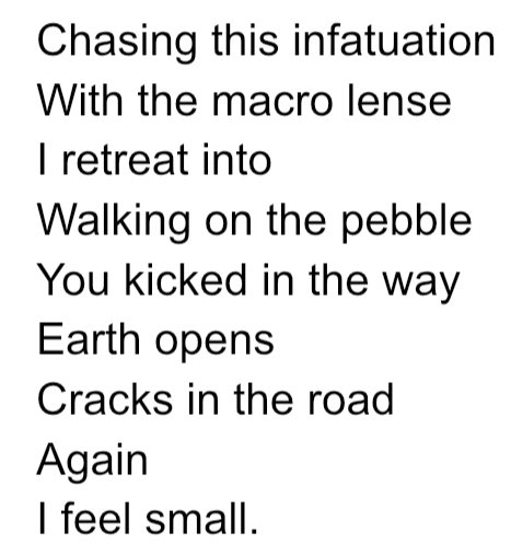 #poetry #poem #infatuation #poet