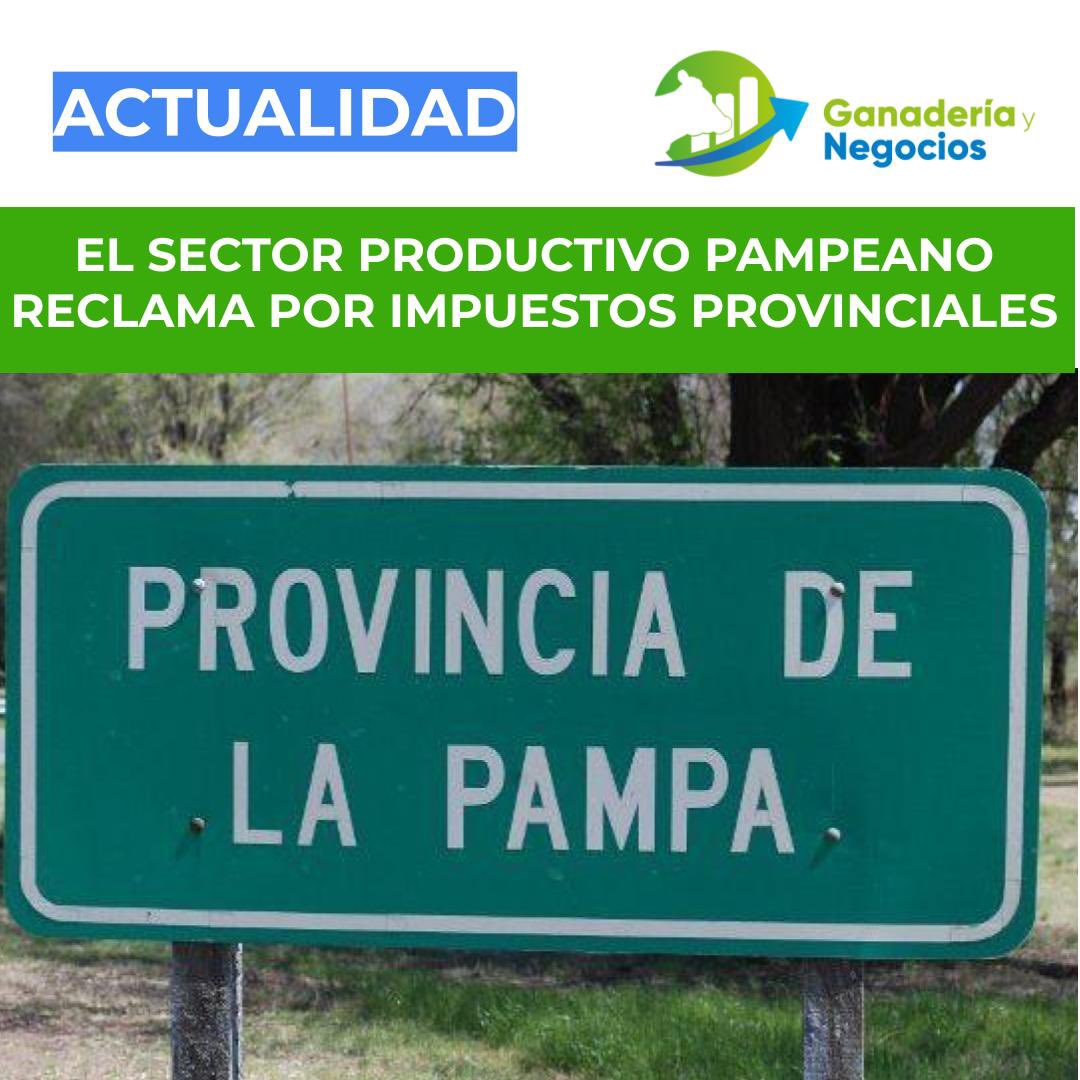 gynegocio's tweet photo. EL SECTOR PRODUCTIVO PAMPEANO RECLAMA POR IMPUESTOS PROVINCIALES

Diversas instituciones fijan su posición frente al avance sobre la actividad privada que ejerce el gobierno provincial y otros aspectos de fuerte impacto. 

https://t.co/NvqWxlx3KS

#Ganaderiaynegocios 🐮 https://t.co/Gjvk3BlYKK
