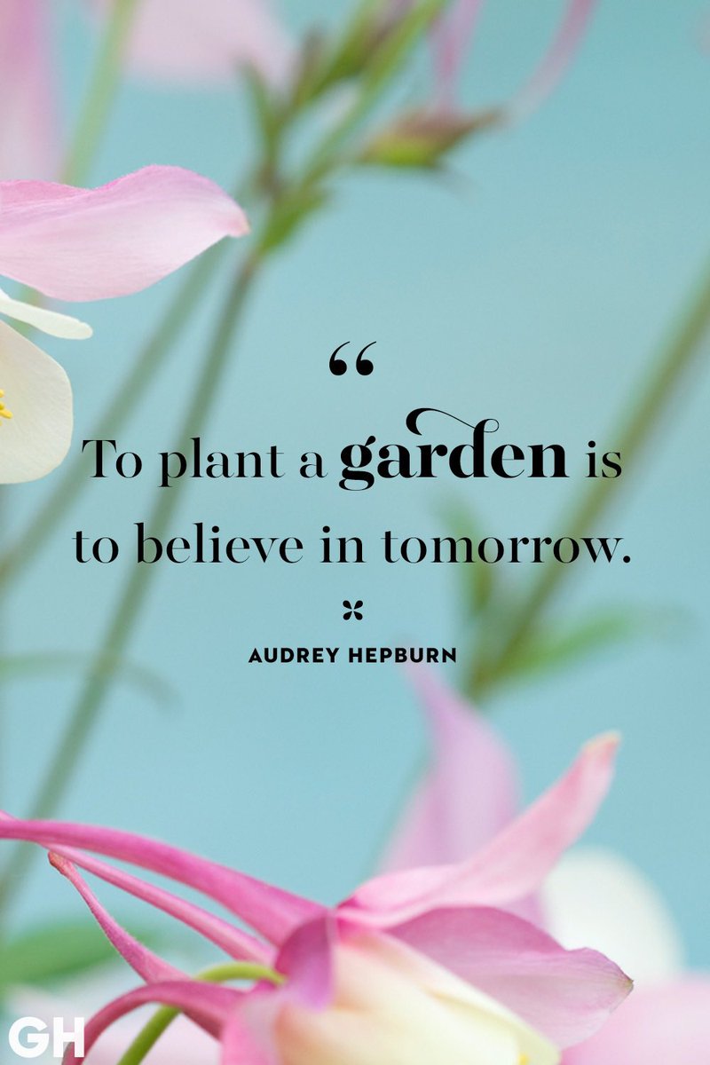 To plant a garden is to believe in tomorrow.🌸🌷🌼🪷🪻
-Audrey Hepburn

🪷kryssylocs.com
