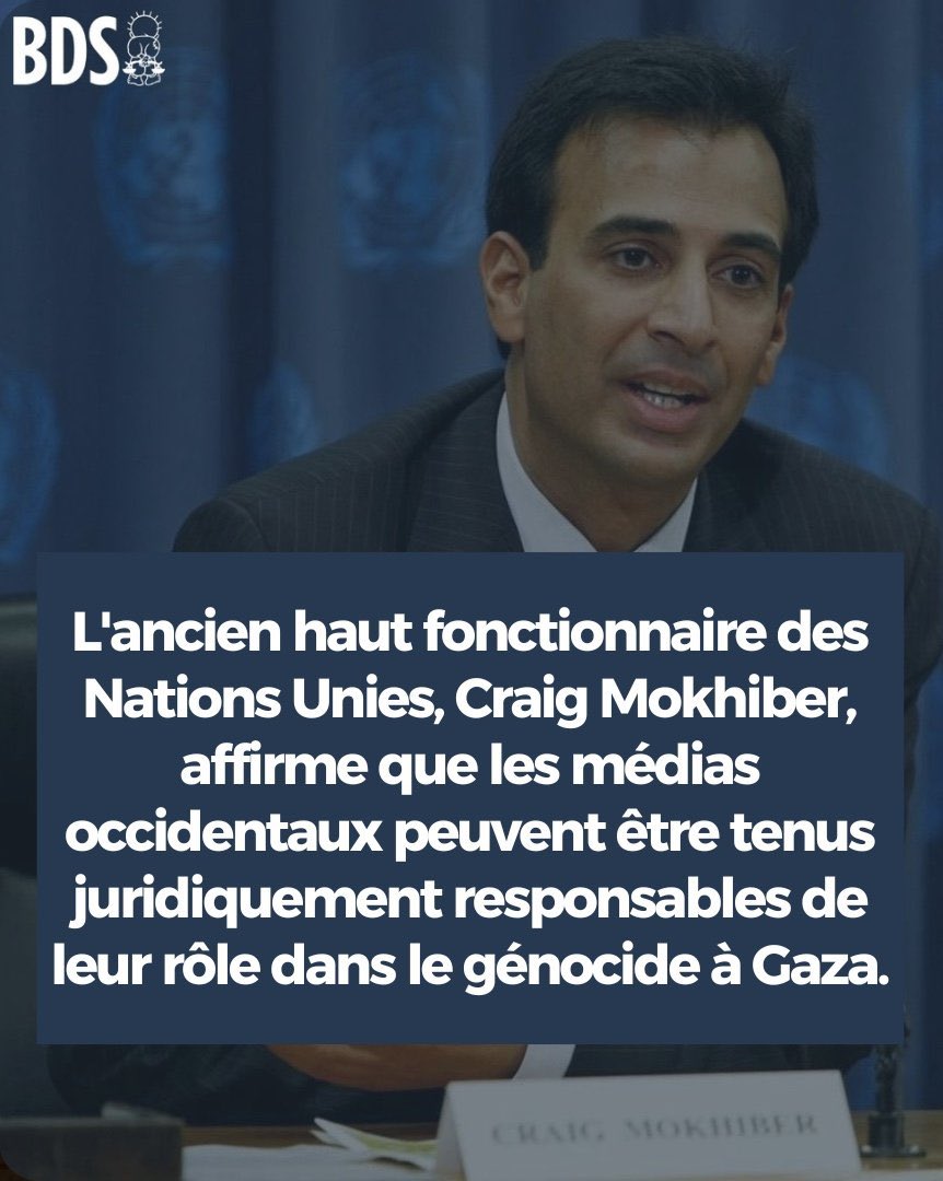 Rima Hassan tweet media