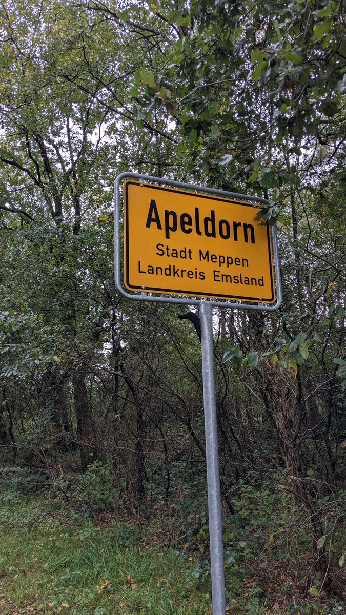 Rad_Laster_Berlin tweet media