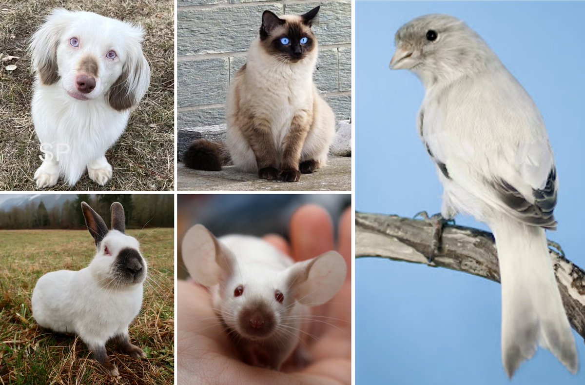 CristianaMarques tweet media