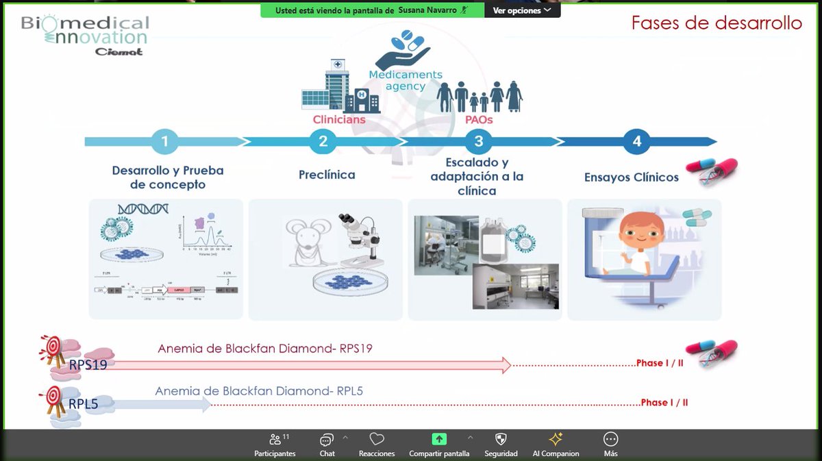 salvadorpayan's tweet image. Hoy hemos tenido reunión mensual de #REDSUR, la red de #eritropatología del sur, y la Dra. Susana Navarro @SuNAlakira, de @BioInn_CIEMAT, nos ha presentado los avances de su grupo en #TerapiaGénica en #anemia de #BlackfanDiamond. Si tenéis pacientes, ¡contactad con ella!💪🏽🩸