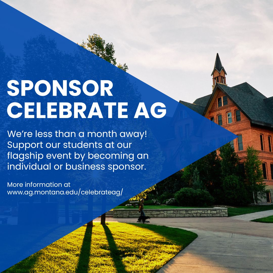 MSUCollegeofAg's tweet image. Celebrate Ag 2024 is coming up Nov. 4-9! With five different sponsorship levels, there&apos;s something for everyone when it comes to supporting this event and our students.

Interested in becoming an individual or business sponsor? Visit ag.montana.edu/celebrateag/sp…