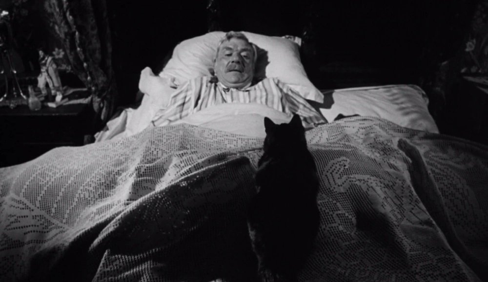 BainConnal's tweet photo. A lesser-known Hammer chiller perfect for October is The Shadow of the Cat (1961). Heavy on atmosphere and shadow, this has Barbara Shelley in a Victorian mansion full of murder, Gothic family secrets, and a possibly supernatural cat. Streaming on @internetarchive ... https://t.co/QbmzqHj896