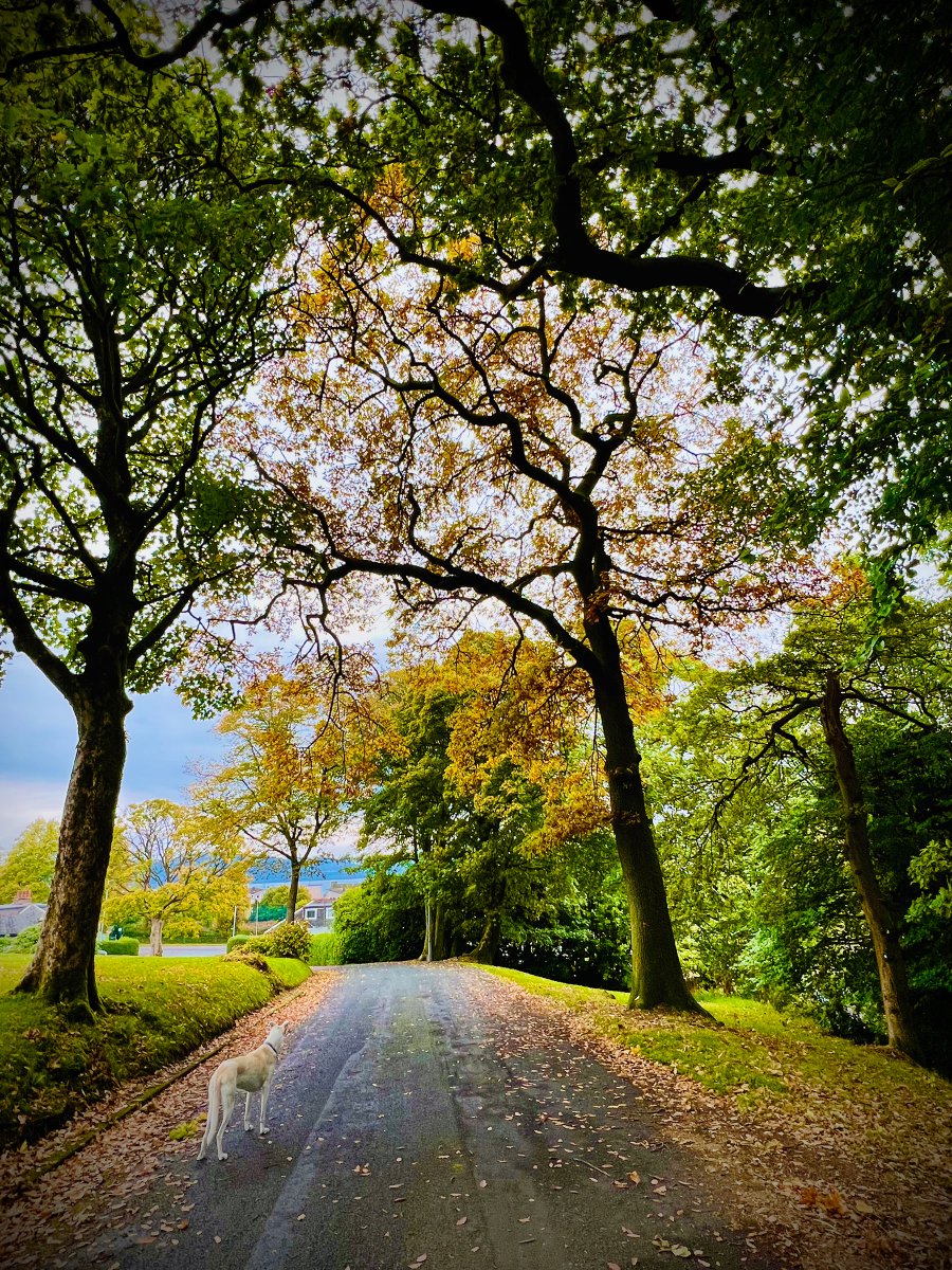 Autumn beckons ........