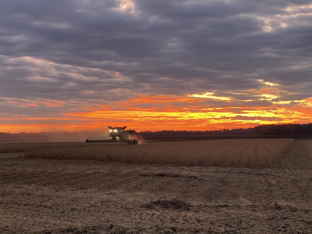 cropmaker79's tweet image. Thank you Lord.