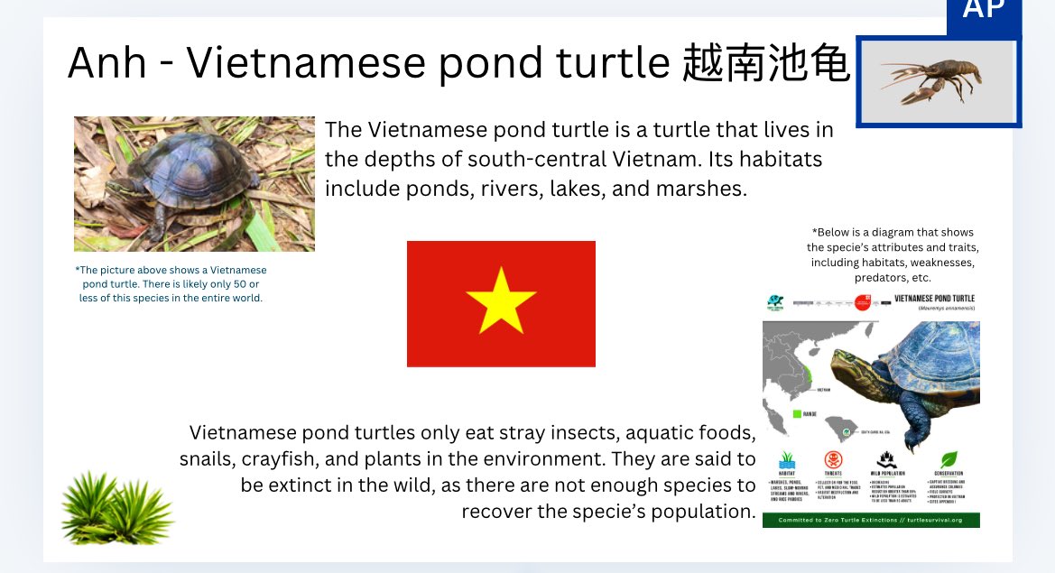 Rong Zhang (@zhangrzhang) on Twitter photo Students learned how to say the names of endangered animals in Mandarin Chinese and will present their findings in class. It was amazing to see their creativity! <a href="/eastcarymiddle/">East Cary Magnet Middle School</a> <a href="/Ndavis615/">Dr. Nikia Davis</a> <a href="/Lee_LaPlace/">Lee LaPlace</a> Students learned how to say the names of endangered animals in Mandarin Chinese and will present their findings in class. It was amazing to see their creativity! <a href="/eastcarymiddle/">East Cary Magnet Middle School</a> <a href="/Ndavis615/">Dr. Nikia Davis</a> <a href="/Lee_LaPlace/">Lee LaPlace</a>