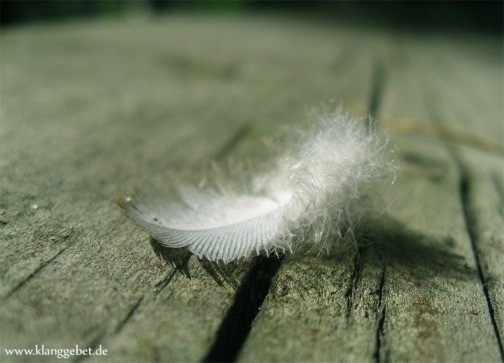 Du bist die Stimme

Sei mir gewogen
Fremdling
ich liebe dich
den ich nicht kenne

Du bist die Stimme
die mich betört
Ich hab dich gehört
ruhend auf grünem Samt
du Moosatem
du Glocke des Glücks
und der unsterblichen Trauer.

Rose Ausländer