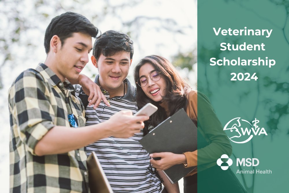 World Veterinary Association (@worldvetassoc) on Twitter photo WVA/<a href="/MSDAnimalHealth/">MSD Animal Health</a> Veterinary Student Scholarship 2024 are here!
We will attribute 40 scholarships of 5000 USD to students from #LatinAmerica, #Africa, #NorthAfrica / #MiddleEast and #Asia / #Oceania.
Don't miss out on this great opportunity: worldvet.org/news/wva-msd-v… WVA/<a href="/MSDAnimalHealth/">MSD Animal Health</a> Veterinary Student Scholarship 2024 are here!
We will attribute 40 scholarships of 5000 USD to students from #LatinAmerica, #Africa, #NorthAfrica / #MiddleEast and #Asia / #Oceania.
Don't miss out on this great opportunity: worldvet.org/news/wva-msd-v…