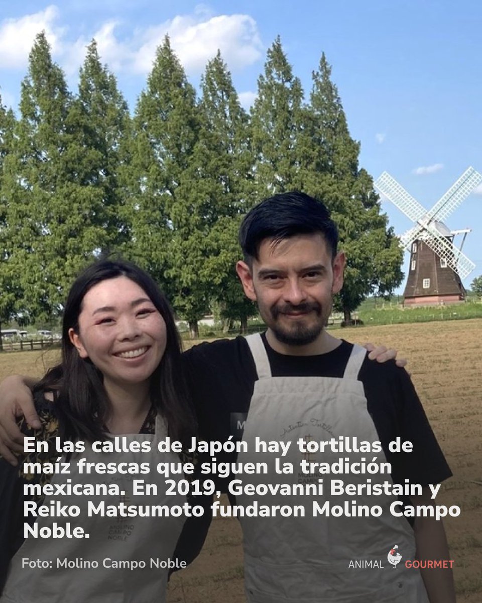Molino Campo Noble en Japón 🌮 🇯🇵 es la primera tortillería que abre sus brazos a todos los amantes del maíz. Fundado en 2019 por Geovanni Beristain y Reiko Matsumoto. #abrohilo 
animalgourmet.com/2024/10/04/mol…