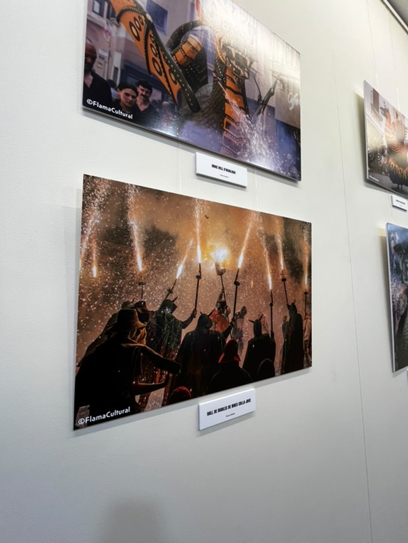 El company de festes majors Flama Cultural estrena exposició fotogràfica a l’Oficina <a href="/jovegarraf/">Oficina Jove Garraf</a>, a Vilanova. Hi podreu veure imatges de balls de diables, dracs, àligues i gegants d’arreu del país. I, entre elles, alguna de nostra. Apropeu-vos-hi! 📸🔥
#BallDeDiables
#SPRibes