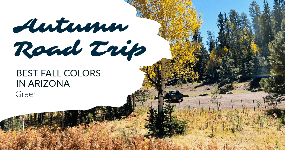 greerlodge's tweet image. Road Trip to Greer: See Arizona’s Stunning Fall Colors! 🍁 - mailchi.mp/greerlodgeaz/f… #Cabins #FallGetaway #ScenicDrive