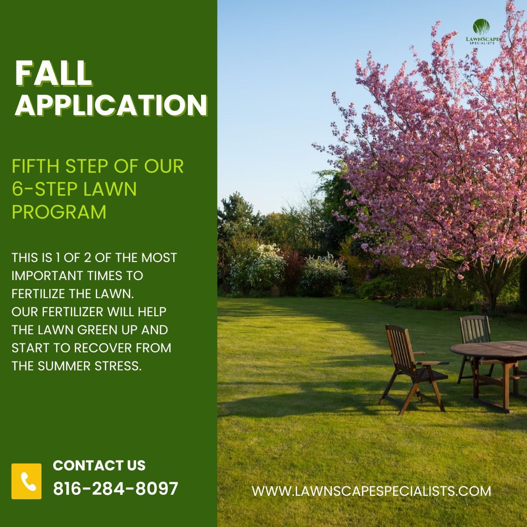 LawnscapeKC's tweet image. Our 6-Step Lawn Care Program ensures your lawn receives necessary nutrients, weed management + defense against insects. ☎️ Contact us at (816) 284-8097 for inquiries. #lovethatgreen #lawncareservice #shawneeks #olathe #parkvillemo #lawnscapespecialists #lawnrestoration