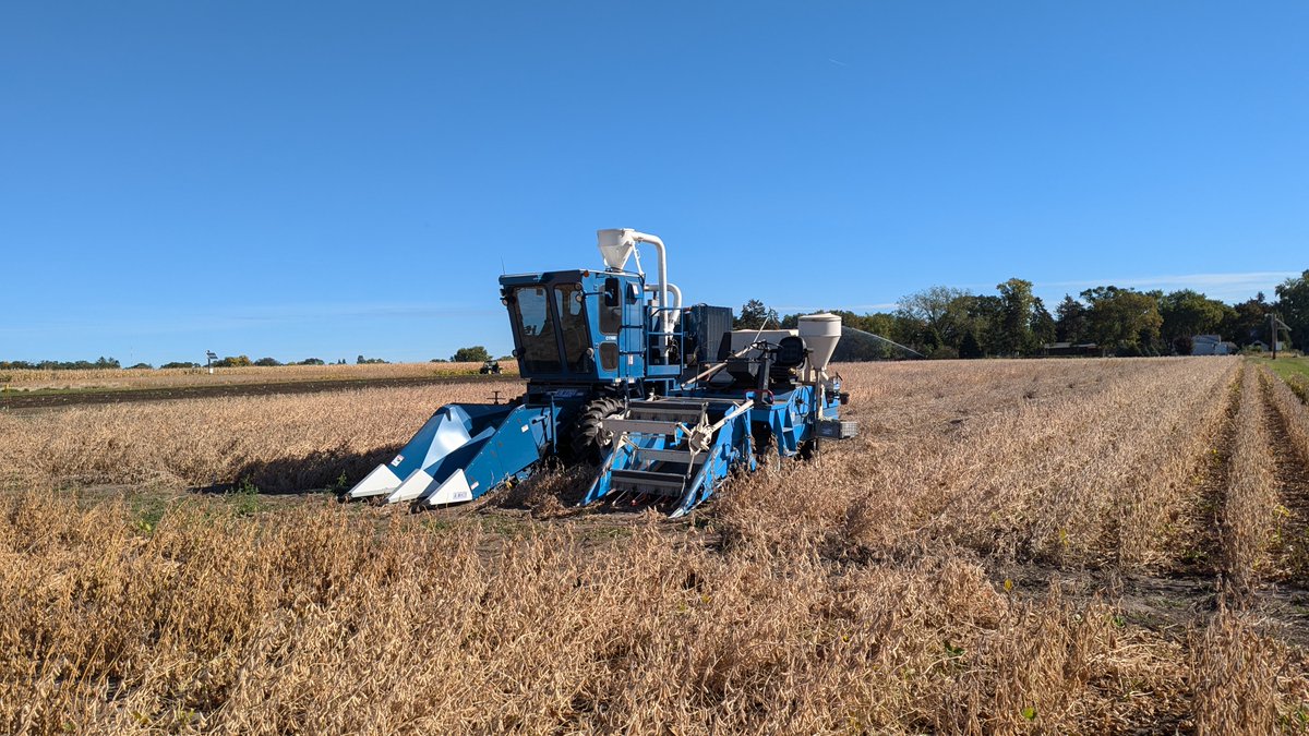Harvest time for the Naeve group!