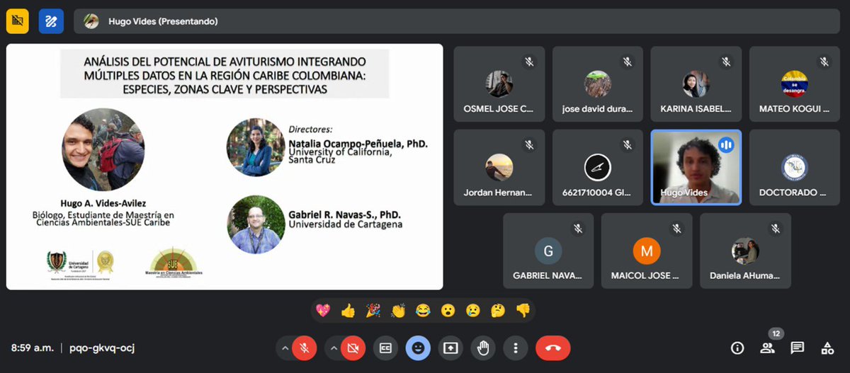 birdmapper's tweet photo. Momento de #profeorgullosa hoy en la defensa de tesis de maestría de @hvidesa en la @uni_cartagena. Un excelente trabajo sobre el potencial del aviturismo en el Caribe colombiano, inspirado por métodos recientemente publicados con @OrnithoAle 🙌🏽. 💯 #cienciacriolla https://t.co/KqaSfQzLKu