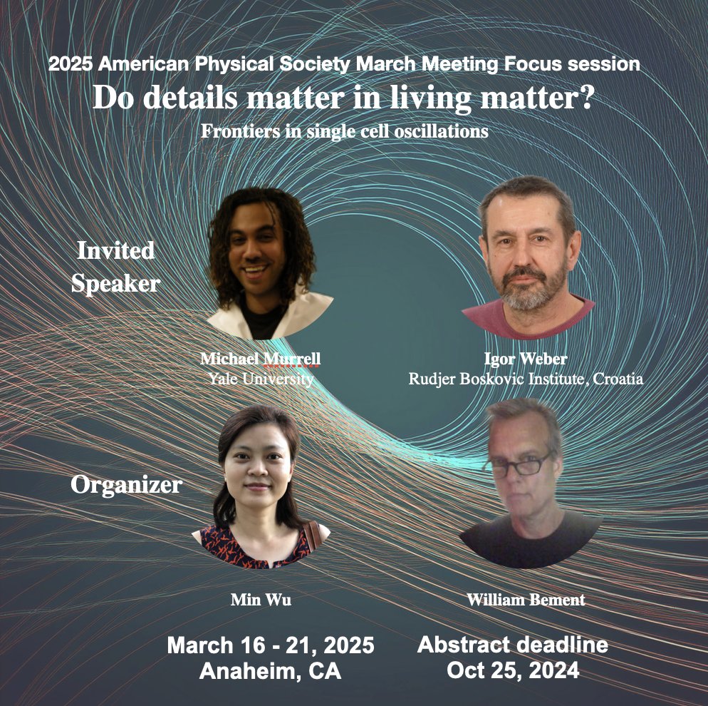 Min WU (@wumin_lab) on Twitter photo Inaugural pop-up Focus Session at APS on “Do details matter in living matter?”
Biologists/physicists working on single cell oscillations, please submit abstract by Oct 25!
summit.aps.org/attend/abstrac…
<a href="/APSphysics/">American Physical Society</a> <a href="/BementLab/">Bement Lab</a> <a href="/PEB_Yale/">Yale Program in Physical and Engineering Biology</a> #APSSummit25 Inaugural pop-up Focus Session at APS on “Do details matter in living matter?”
Biologists/physicists working on single cell oscillations, please submit abstract by Oct 25!
summit.aps.org/attend/abstrac…
<a href="/APSphysics/">American Physical Society</a> <a href="/BementLab/">Bement Lab</a> <a href="/PEB_Yale/">Yale Program in Physical and Engineering Biology</a> #APSSummit25