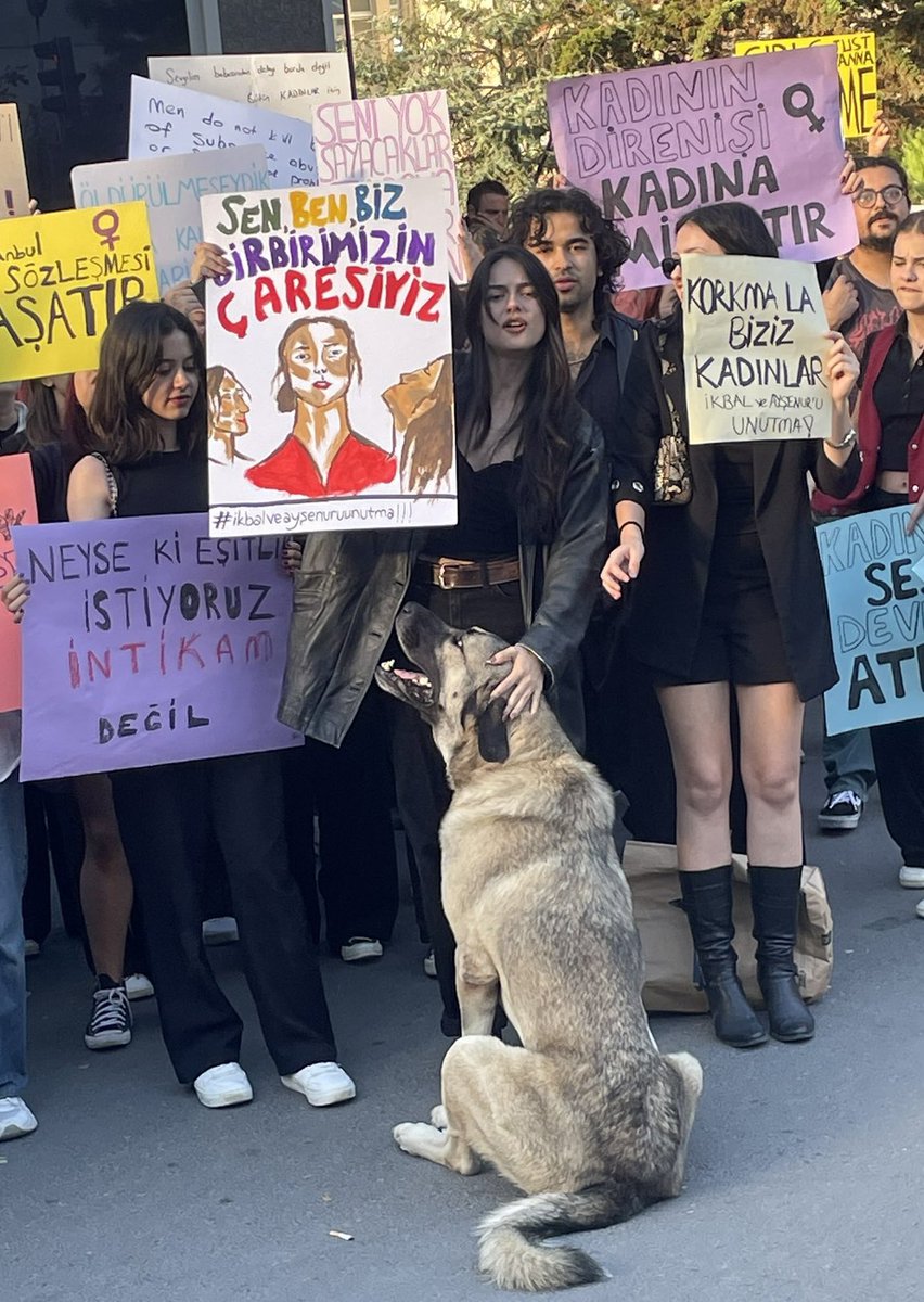 Ne kadar çok şey anlatıyor tek bir kare öyle değil mi?

“Sen, ben, biz,
Birbirimizin çaresiyiz”

#6284üuygula 
#istanbulconventionkeepsalive
#reenact6284
#istanbulsözleşmesiyaşatır
#SokaktayımYanındayım 
#katliamyasasınahayır