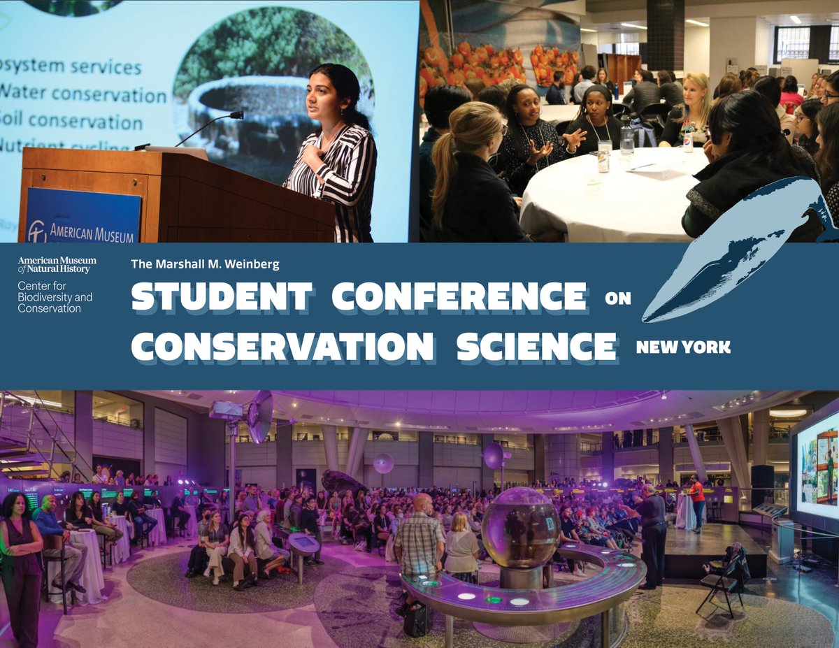 CBC at AMNH (@cbc_amnh) on Twitter photo 🌍 Tomorrow’s the big day at #SCCSNY2024! We’re kicking off the conference with workshops and behind the scenes tours <a href="/AMNH/">American Museum of Natural History</a>. Then end your day with a SciCafe featuring keynote speaker <a href="/nmlister/">Nina-Marie Lister</a> on how ecological design can bridge the gap between urban life and nature. 🌍 Tomorrow’s the big day at #SCCSNY2024! We’re kicking off the conference with workshops and behind the scenes tours <a href="/AMNH/">American Museum of Natural History</a>. Then end your day with a SciCafe featuring keynote speaker <a href="/nmlister/">Nina-Marie Lister</a> on how ecological design can bridge the gap between urban life and nature.