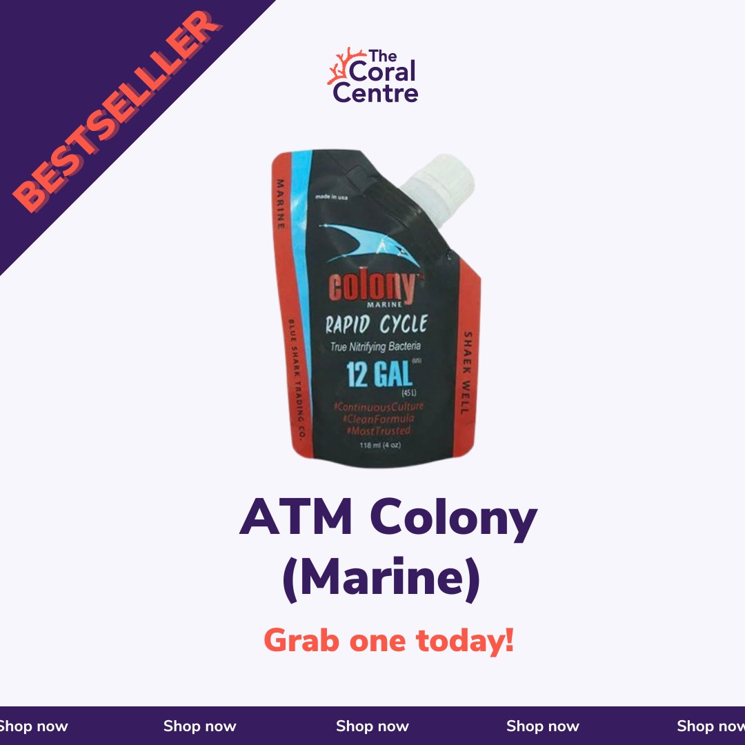 Ensure a healthy start for your aquarium with ATM Colony Marine—packed with all-natural, live Nitrosococcus and Nitrococcus bacteria. This powerful formula helps establish bio-filtration. 

🛒 Get yours here: heyor.ca/ToUCkr