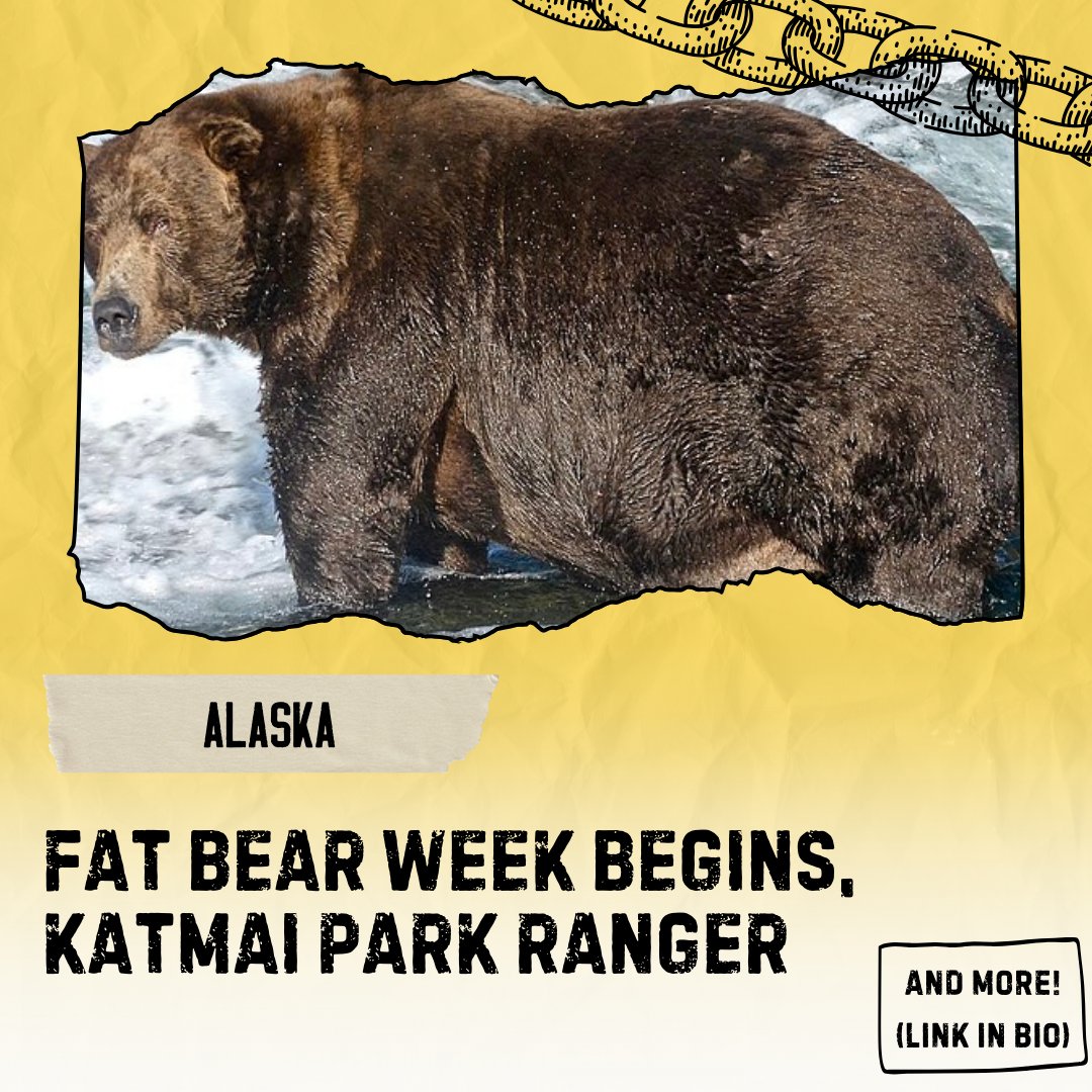 This week on #StayWithMeHere, we reflect on one year of conflict since the October 7 attack in #Israel, give an update on #HurricaneMilton, and interview a visual info specialist Sarah Bruce from #Katmai National Park during #FatBearWeek