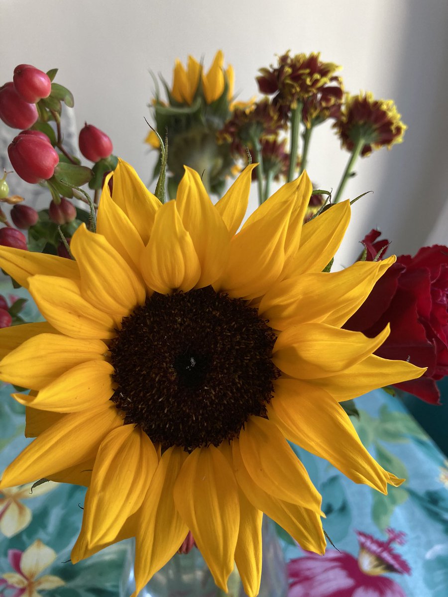 kbush50's tweet photo. Receiving flowers is just the best. https://t.co/5KL1yO5RPG