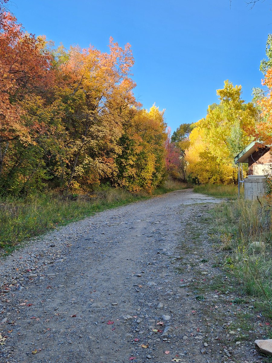 MehHaikus's tweet photo. Big Springs Hollow #8
“Peace”

Quiet crunching steps,
a faint rustle of the leaves,
and a peace of mind.

#Haiku #Poetry #3lines #Hiking #BigSpringsHollow https://t.co/wjHOO84rtv