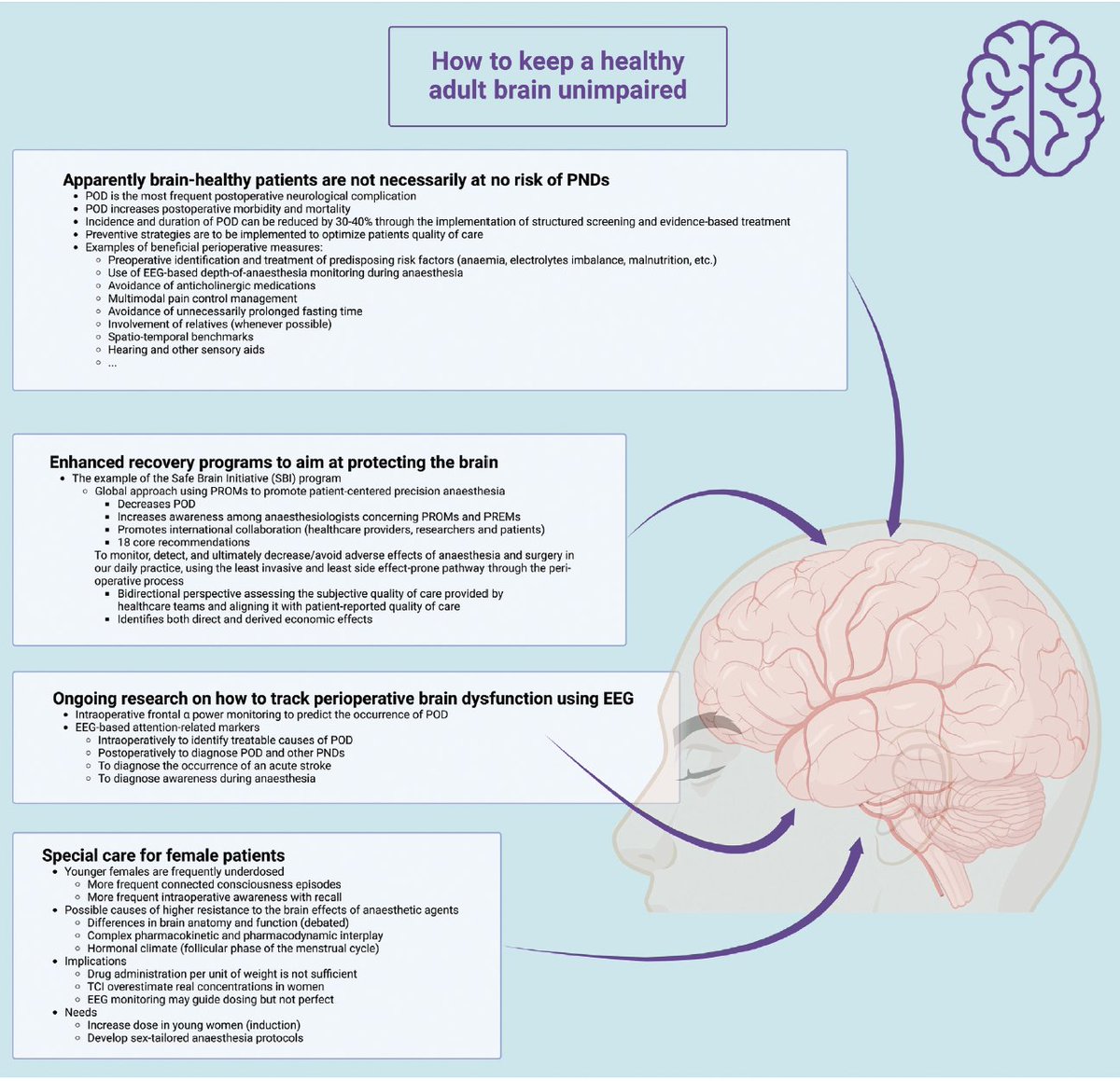 Francisco Lobo 🇵🇹🇨🇿🇪🇸🇺🇸🇳🇱🇮🇹 tweet media